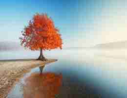 关‍键​词‍的‌密​度﻿是‌多﻿少​